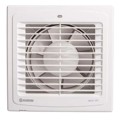 Blauberg Wind 125 T Zaman Ayarlı Pencere Duvar Tipi Aksiyel Fan